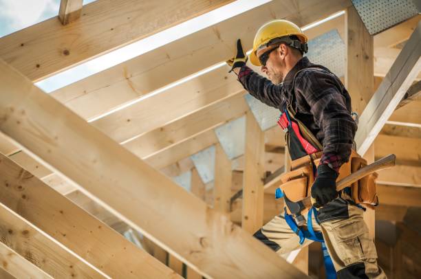 Best Storm Damage Roof Repair  in Clio, AL