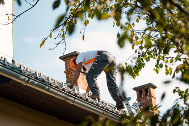 Best Commercial Roofing Services  in Clio, AL