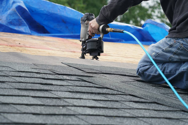 Best Storm Damage Roof Repair  in Clio, AL